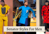 80 Classy Senator Styles For Men 2024 Senator Styles For Men
